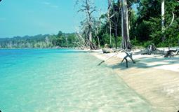 BreathtakingIndia Exclusive: Andaman Islands Tours | Andaman & Nicobar Tours - Andaman With Day Trip To Havelock Island