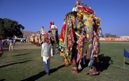 BreathtakingIndia Exclusive: Jaipur Things to Do | Rajasthan Things to Do - Festival 