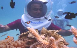 BreathtakingIndia Exclusive: Andaman Islands Things to Do | Andaman & Nicobar Things to Do - Sea Walking 