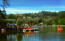 BreathtakingIndia Exclusive: Kodaikanal Things to Do | Tamil Nadu Things to Do - Kodaikanal Lake