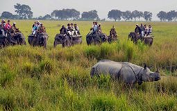 BreathtakingIndia Exclusive: Jorhat Things to Do | Assam Things to Do - Kaziranga National Park