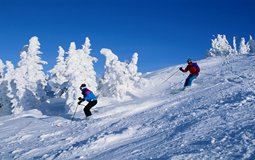 BreathtakingIndia Exclusive: Kufri Things to Do | Himachal Pradesh Things to Do - Skiing