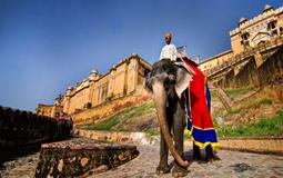 BreathtakingIndia Exclusive: Jaipur Tours | Rajasthan Tours - ONE DAY JAIPUR TOUR