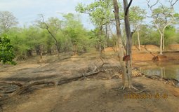 BreathtakingIndia Exclusive: Bandhavgarh National Park Things to Do | Madhya Pradesh Things to Do - Khitauli zone 