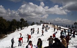 BreathtakingIndia Exclusive: Kufri Things to Do | Himachal Pradesh Things to Do - Mahasu Peak