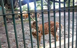 BreathtakingIndia Exclusive: Thrissur Things to Do | Kerala Things to Do - Thrissur Zoo
