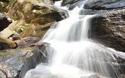 BreathtakingIndia Exclusive: Yercaud Things to Do | Tamil Nadu Things to Do - Kiliyur Falls