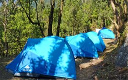 BreathtakingIndia Exclusive: Dharamshala Things to Do | Himachal Pradesh Things to Do - Night Camping