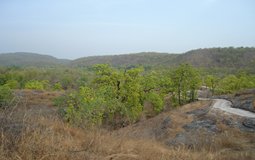 BreathtakingIndia Exclusive: Bandhavgarh National Park Things to Do | Madhya Pradesh Things to Do - Climbers Point