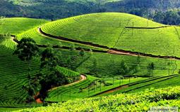 BreathtakingIndia Exclusive: Araku Valley Tours | Andhra Pradesh Tours - Visakhapatnam - Araku Valley Tour Package