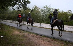 BreathtakingIndia Exclusive: Mysore Things to Do | Karnataka Things to Do - Horse Riding
