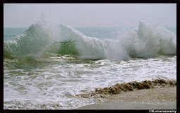 BreathtakingIndia Exclusive: Konark Things to Do | Odisha Things to Do - Konark Beach