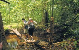 BreathtakingIndia Exclusive: Little Andaman Island Things to Do | Andaman & Nicobar Things to Do - Trekking