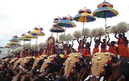 BreathtakingIndia Exclusive: Kovalam Things to Do | Kerala Things to Do - Elephant Festival