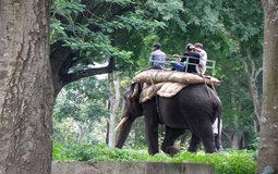 BreathtakingIndia Exclusive: Coorg  Things to Do | Karnataka Things to Do - Dubare Elephant Camp
