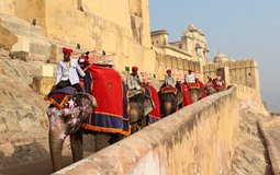 BreathtakingIndia Exclusive: Jaipur Things to Do | Rajasthan Things to Do - Elephant Safari 