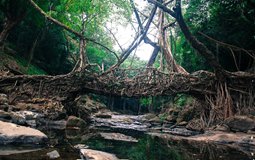 BreathtakingIndia Exclusive: Mawlynnong Things to Do | Meghalaya Things to Do - Living Root Bridge
