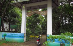 BreathtakingIndia Exclusive: Kochi Things to Do | Kerala Things to Do - Mangalavanam Bird Sanctuary