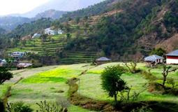 BreathtakingIndia Exclusive: Palampur Tours | Himachal Pradesh Tours - Hills and High Places