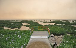BreathtakingIndia Exclusive: Amritsar Things to Do | Punjab Things to Do - Harike Wetland and Bird Sanctuary