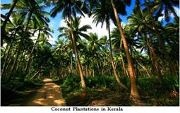 BreathtakingIndia Exclusive: Kovalam Tours | Kerala Tours - Fascinating Kerala Tour