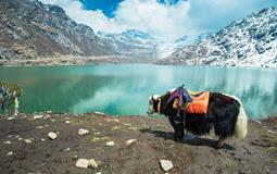 BreathtakingIndia Exclusive: Gangtok Tours | Sikkim Tours - Exclusive Darjeeling Gangtok Lachung Pelling