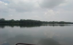 BreathtakingIndia Exclusive: Mysore Things to Do | Karnataka Things to Do - Karanji Lake