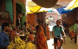 BreathtakingIndia Exclusive: Jaipur Tours | Rajasthan Tours - PINK ROYAL CYCLE TOUR