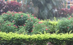 BreathtakingIndia Exclusive: Tirupati Things to Do | Andhra Pradesh Things to Do - TTD Gardens