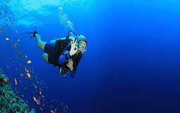 BreathtakingIndia Exclusive: Candolim Things to Do | Goa Things to Do - Diving